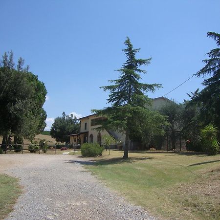 Agriturismo Podere Selvette Campagnatico ภายนอก รูปภาพ