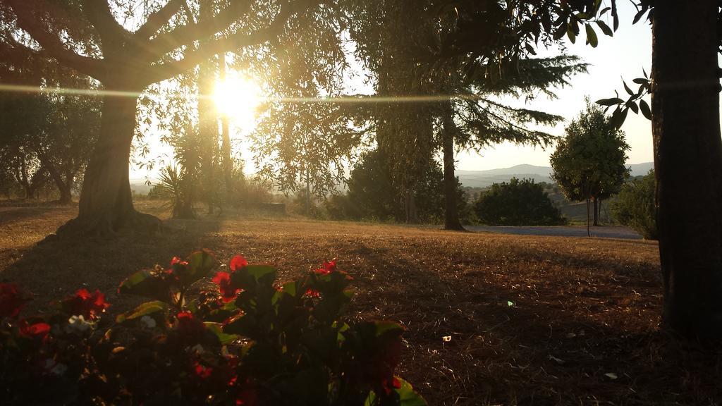 Agriturismo Podere Selvette Campagnatico ภายนอก รูปภาพ