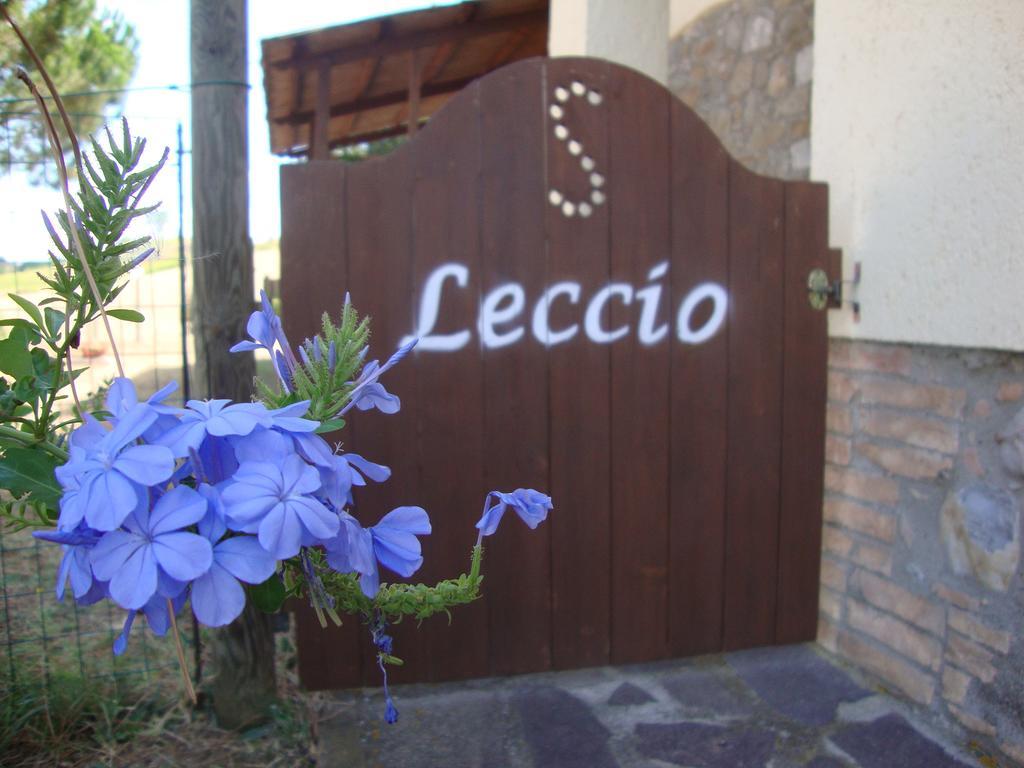 Agriturismo Podere Selvette Campagnatico ภายนอก รูปภาพ