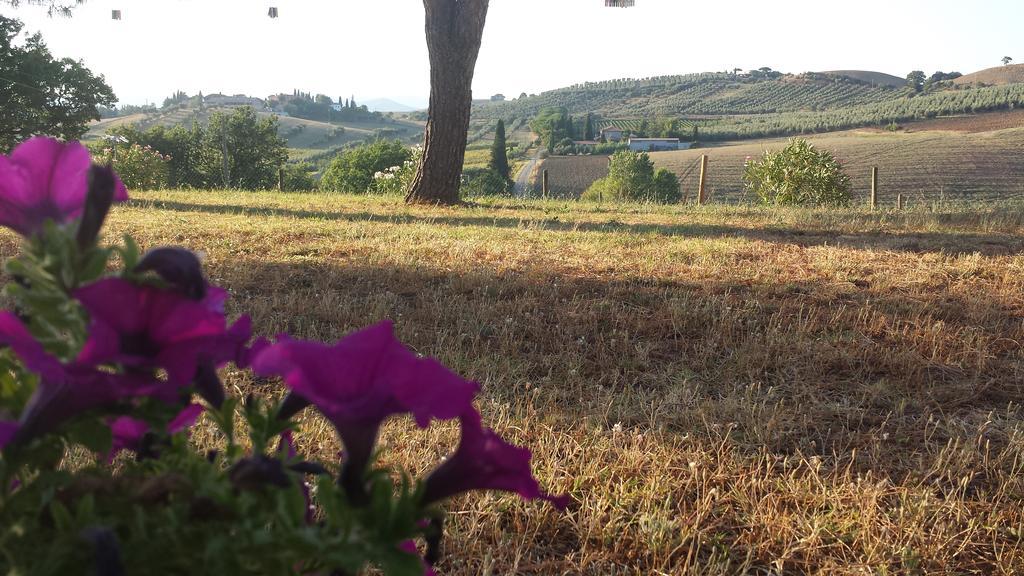 Agriturismo Podere Selvette Campagnatico ภายนอก รูปภาพ