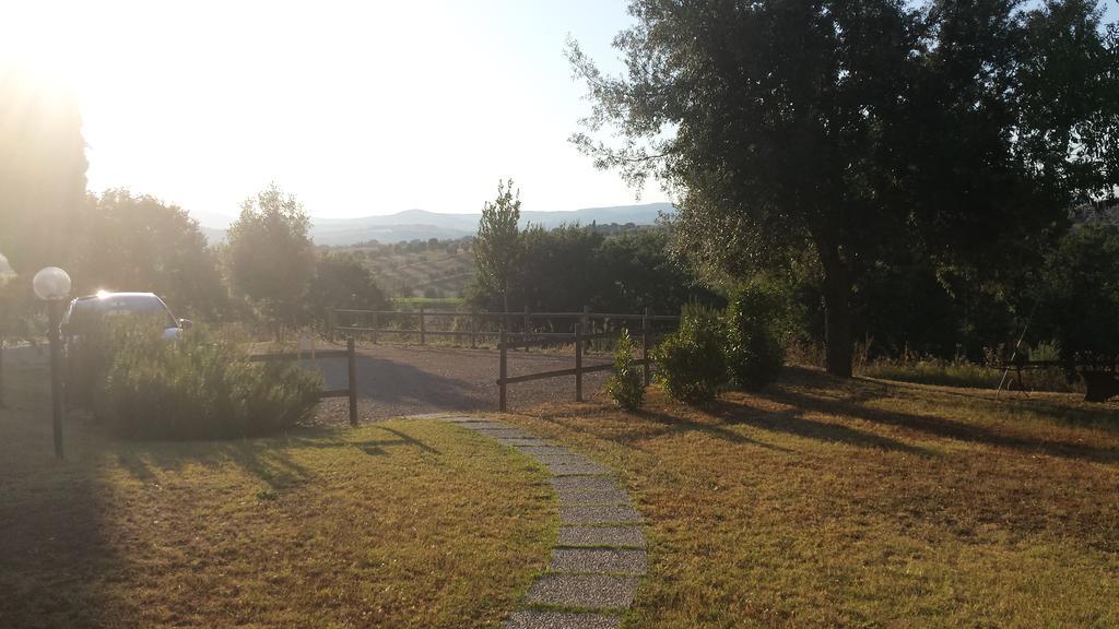Agriturismo Podere Selvette Campagnatico ภายนอก รูปภาพ