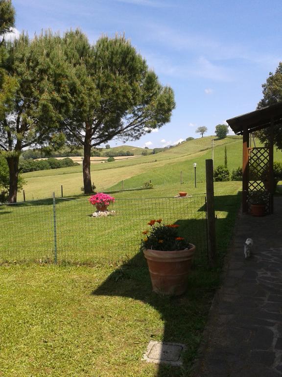 Agriturismo Podere Selvette Campagnatico ภายนอก รูปภาพ