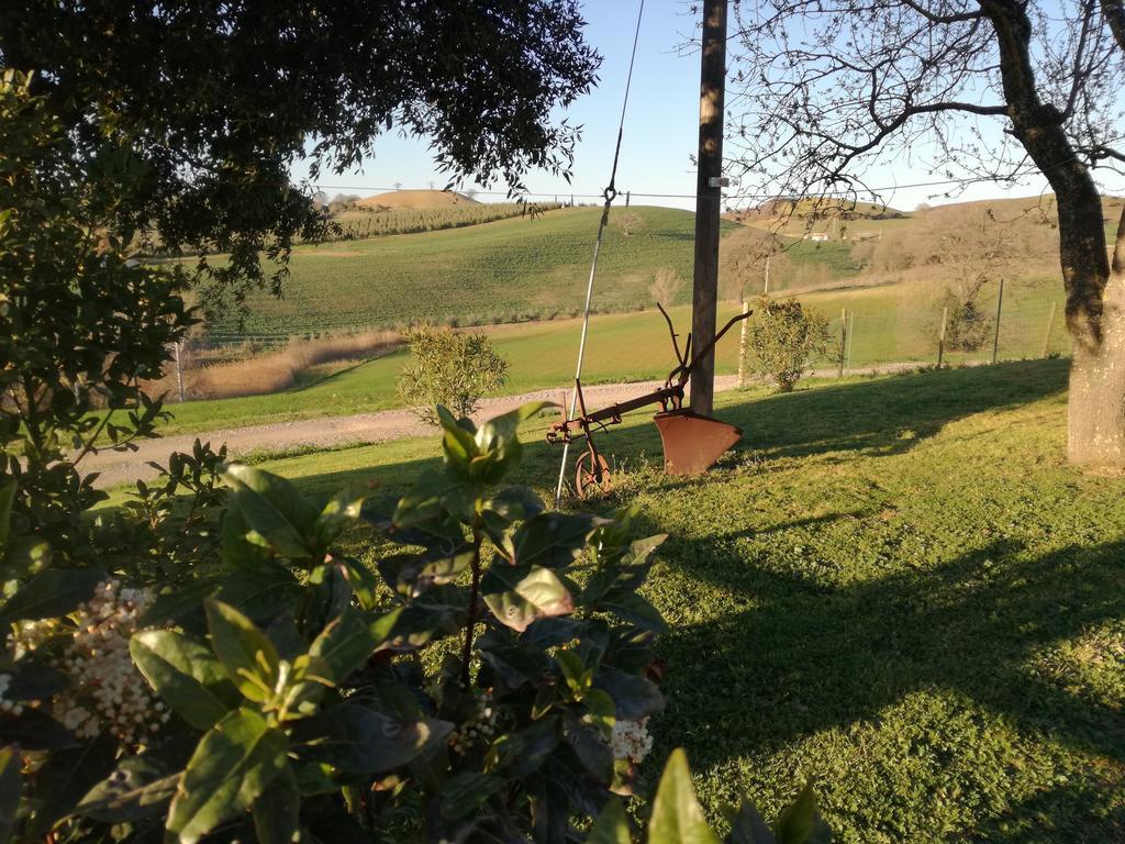 Agriturismo Podere Selvette Campagnatico ภายนอก รูปภาพ