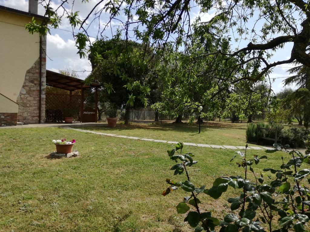Agriturismo Podere Selvette Campagnatico ภายนอก รูปภาพ